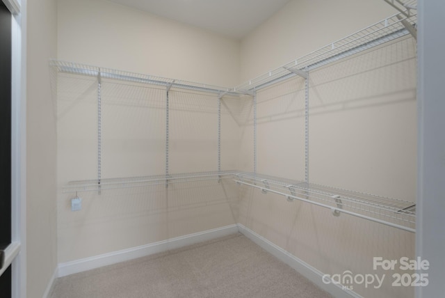 walk in closet with light carpet