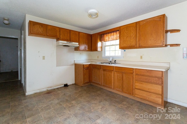 kitchen with sink and a textured ceiling