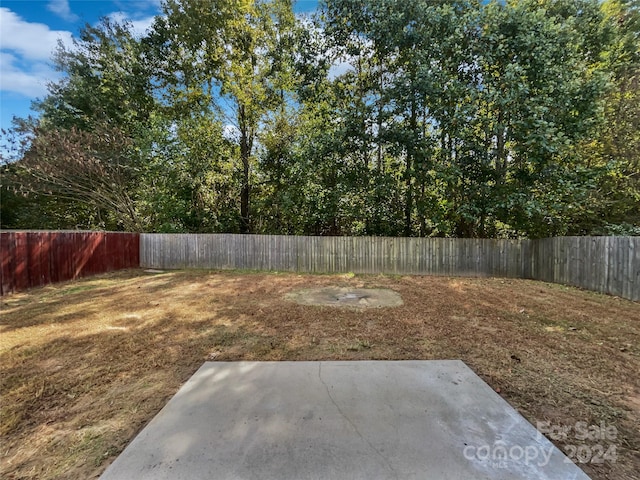 view of yard with a patio area