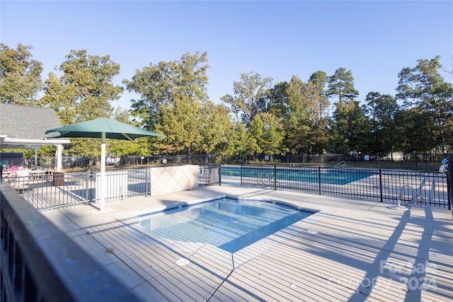 view of pool featuring a patio area