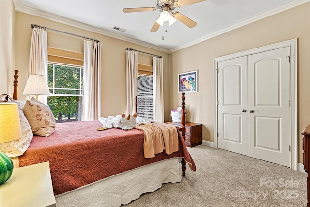 carpeted bedroom with ceiling fan, a closet, and crown molding