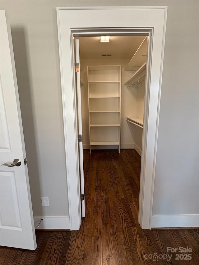 walk in closet featuring dark wood-type flooring