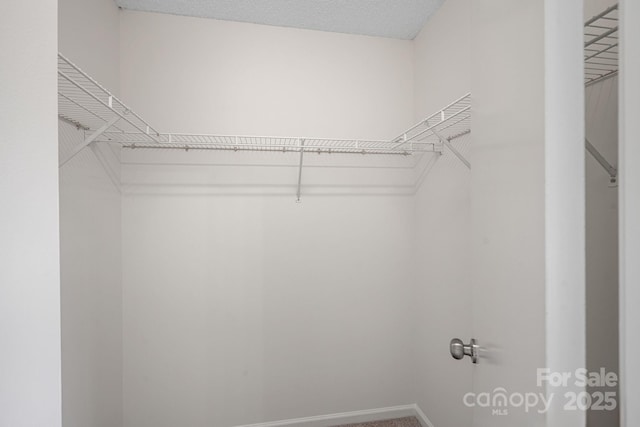 view of walk in closet