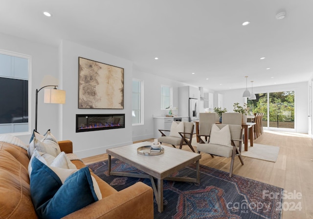 living room with light wood-type flooring