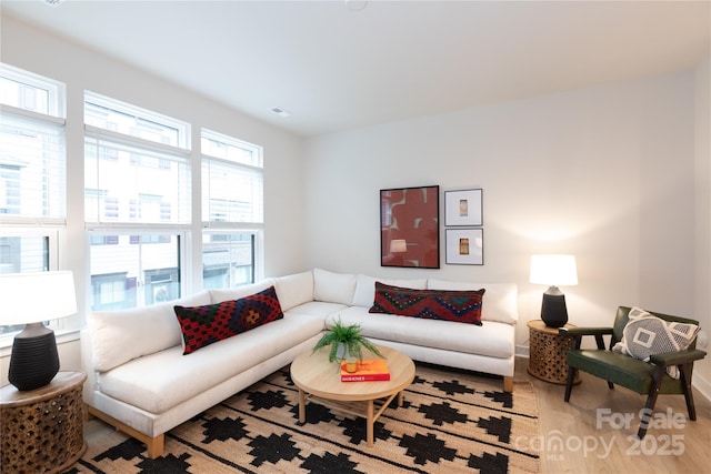 living room with wood-type flooring