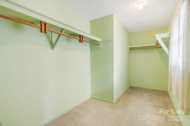 walk in closet featuring light carpet