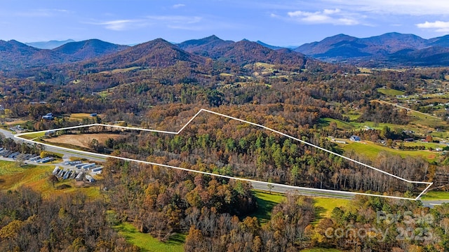 aerial view with a mountain view