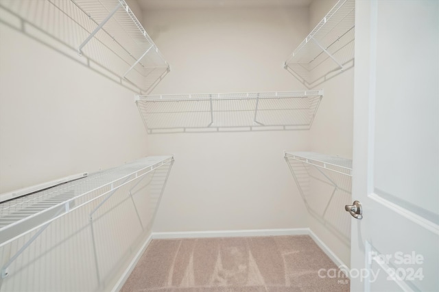 walk in closet with light carpet