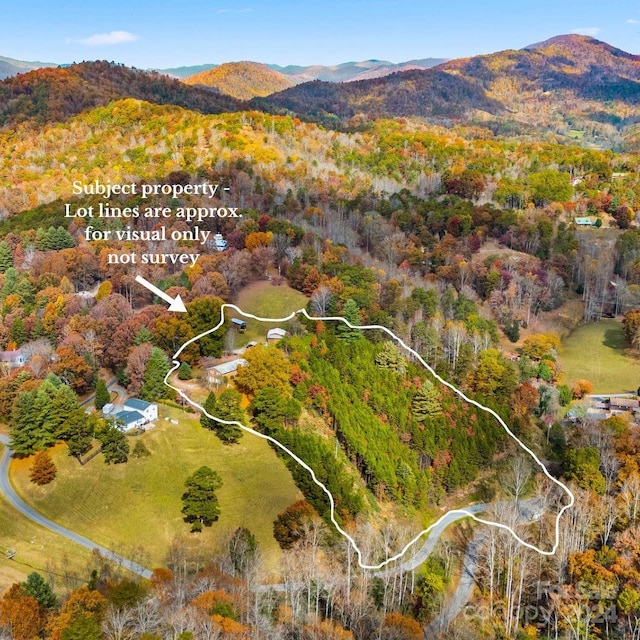 bird's eye view featuring a mountain view