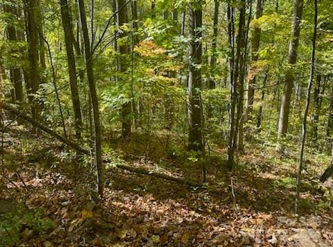 Listing photo 3 for LOTA-2 Giyuga Trl Lot A-2, Maggie Valley NC 28751