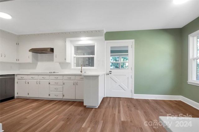 kitchen featuring white cabinetry, stainless steel dishwasher, exhaust hood, and plenty of natural light