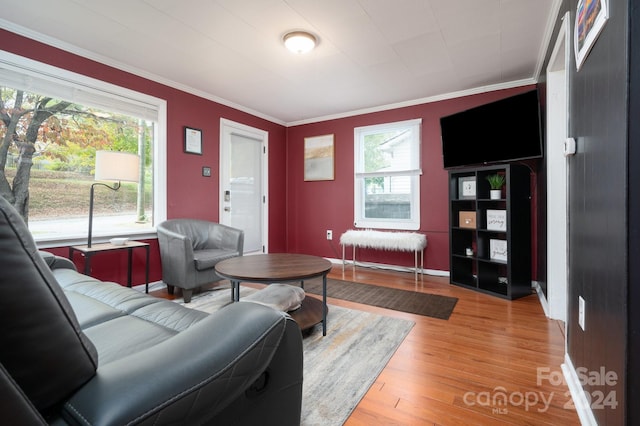 living room with crown molding and light wood-type flooring