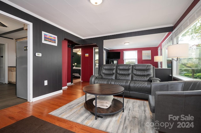 living room featuring ornamental molding and hardwood / wood-style floors