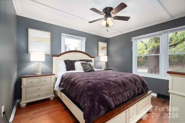 bedroom featuring dark wood-type flooring, crown molding, multiple windows, and ceiling fan