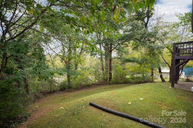 view of yard featuring a wooden deck