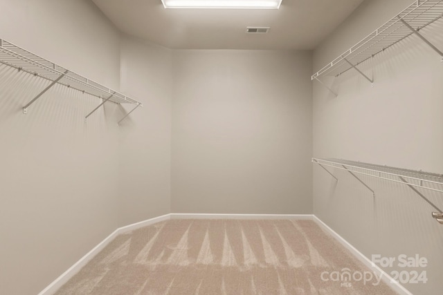 walk in closet featuring carpet flooring