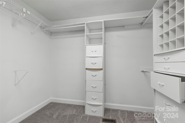 spacious closet featuring dark colored carpet