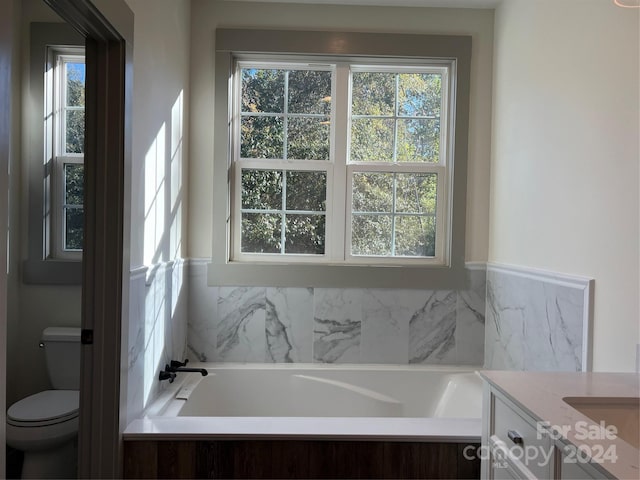 bathroom featuring vanity, a bathing tub, and toilet