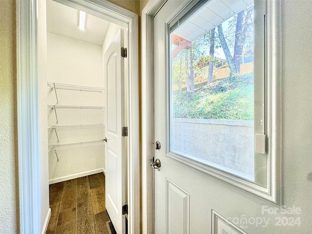 entryway with dark hardwood / wood-style flooring