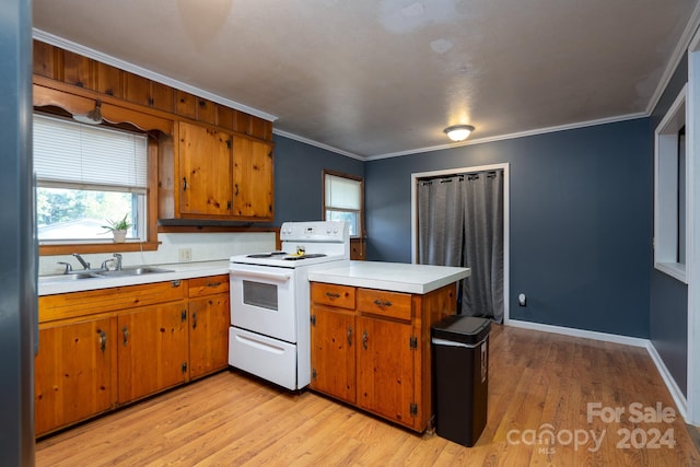 kitchen with crown molding, sink, electric range, and light wood-type flooring