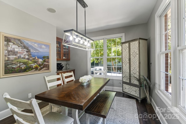 dining area with dark hardwood / wood-style flooring