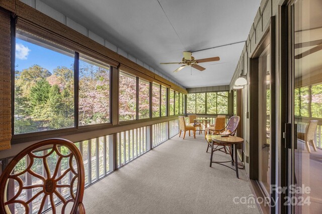 464 Crowfields Dr, Asheville, NC 28803 - photo 23