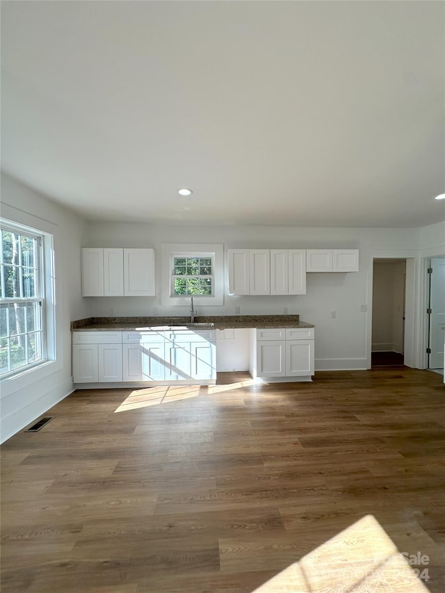 kitchen with wood-type flooring, sink, and white cabinets