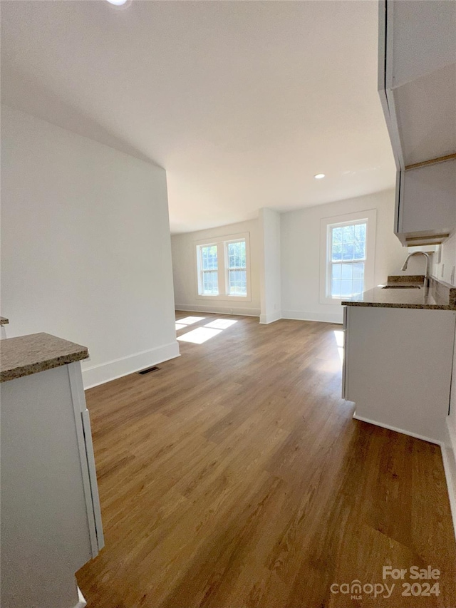 unfurnished living room featuring sink and dark wood-type flooring