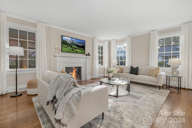 living room with hardwood / wood-style flooring