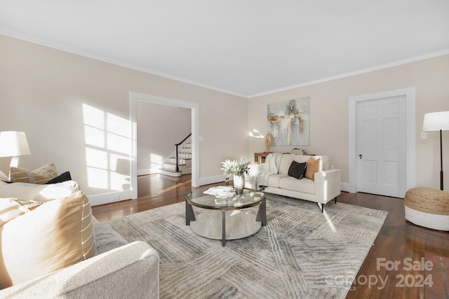 living room featuring crown molding and dark hardwood / wood-style flooring