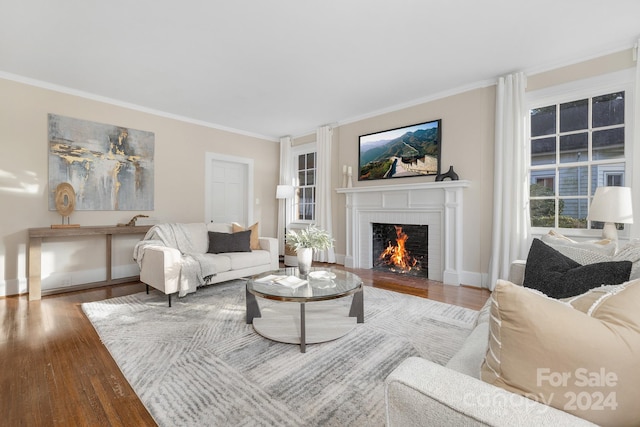 living room featuring hardwood / wood-style floors, ornamental molding, and a fireplace