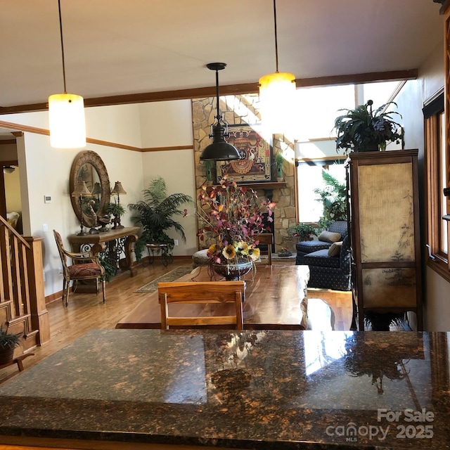 interior space with a stone fireplace and wood finished floors