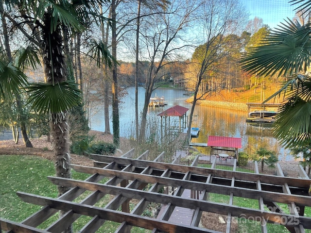 property view of water with a dock