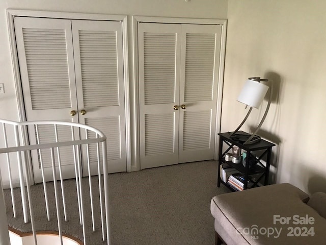 bedroom featuring carpet flooring and multiple closets