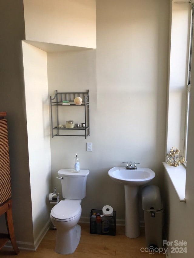 bathroom featuring hardwood / wood-style floors and toilet