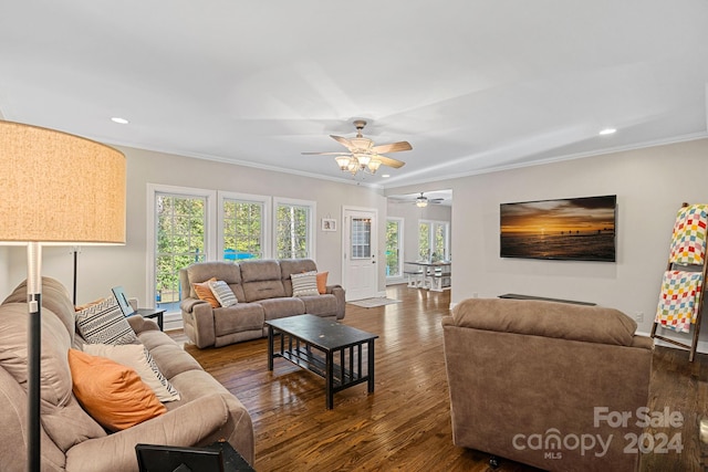 living room with ceiling fan, dark wood-type flooring, and ornamental molding