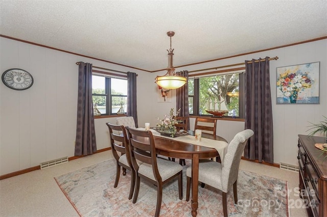 dining room featuring ornamental molding, a textured ceiling, and a healthy amount of sunlight