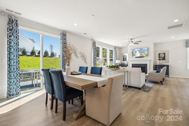 dining area featuring ceiling fan and light hardwood / wood-style flooring