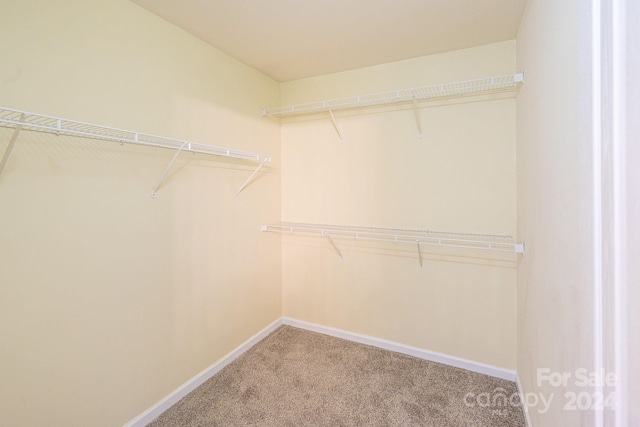 walk in closet featuring carpet