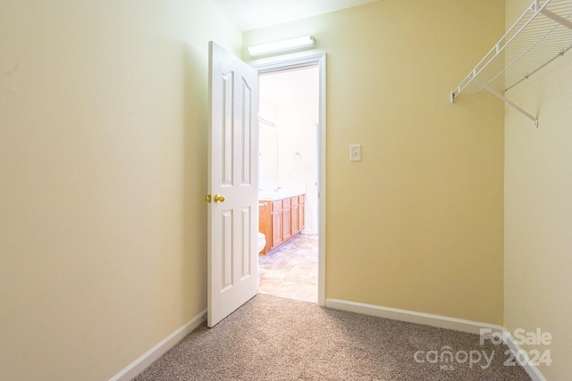 walk in closet featuring light carpet