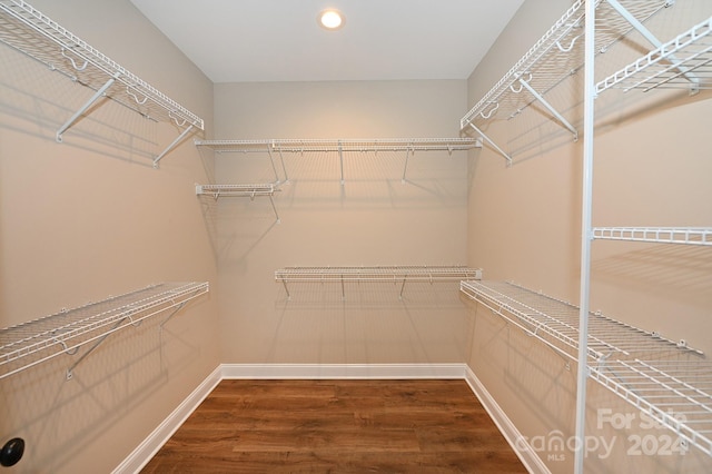 spacious closet featuring dark wood-type flooring