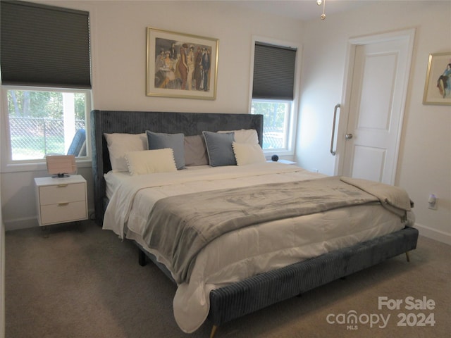 bedroom featuring multiple windows and dark colored carpet