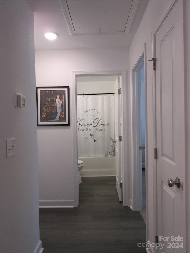 hall featuring dark hardwood / wood-style flooring