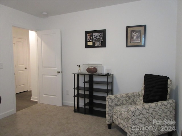 sitting room with carpet