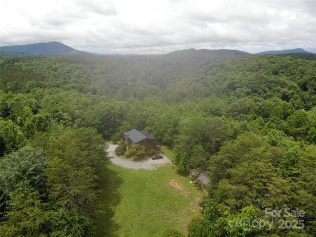 460 Cascades Pkwy, Nebo, NC 28761 - photo 11