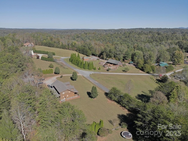 460 Cascades Pkwy, Nebo, NC 28761 - photo 12