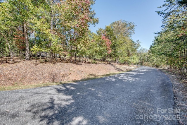 460 Cascades Pkwy, Nebo, NC 28761 - photo 19