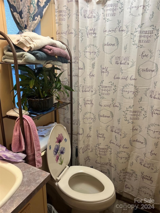 bathroom with vanity, toilet, and curtained shower