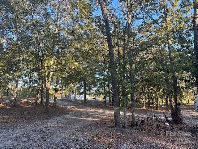 1814 Landfill Rd, Mount Croghan, SC 29727 - photo 2