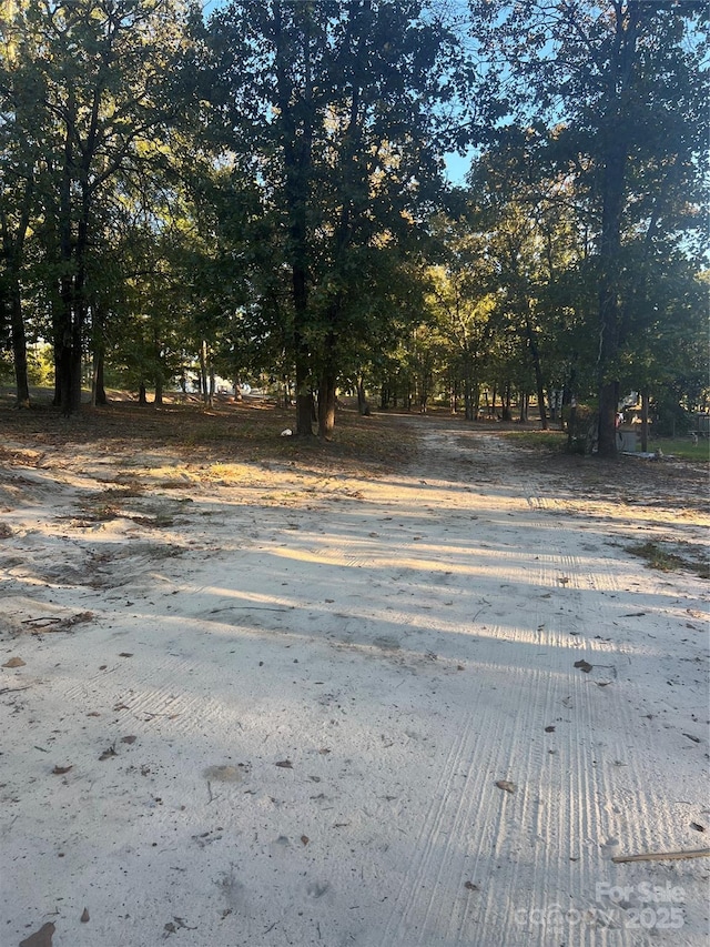1814 Landfill Rd, Mount Croghan, SC 29727 - photo 4